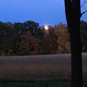 Meet your Posher, Lee